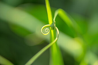 Die Westfalen Gruppe handelt nachhaltig und transparent