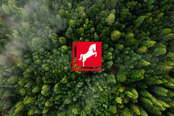 Westfalen Gruppen Logo in rot auf grünem Wald von oben.