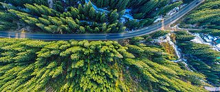 Nachhaltigkeit, Landschaft mit hohe Bäumen