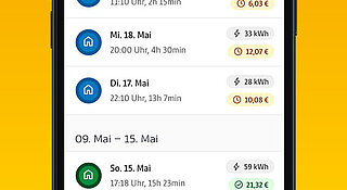 Firmenwagen Zuhause laden. Fleet@Home Ansicht